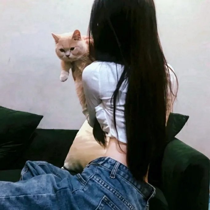 百词莫辩